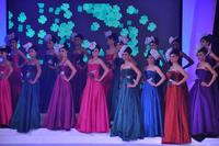 Miss Hyderabad 2011 Photos